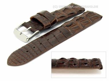 Uhrenarmband -Exotica Extreme- 22mm dunkelbraun echt Alligator ohne Naht (Schlie�enansto� 22 mm) - Bild vergr��ern 